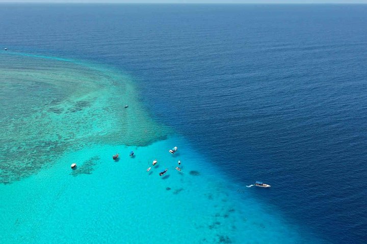 Excursions Mnemba Sandbank  Zanzibar